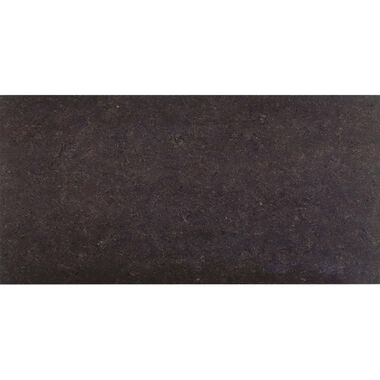 Barcelona Moka 30 x 60