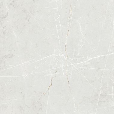 Aston gray 60x60 p5
