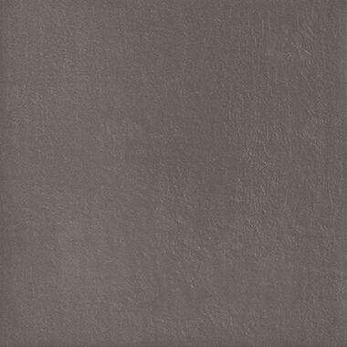 Replain cenere 60x60 natural e2 pa02nat