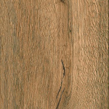 Sequoia