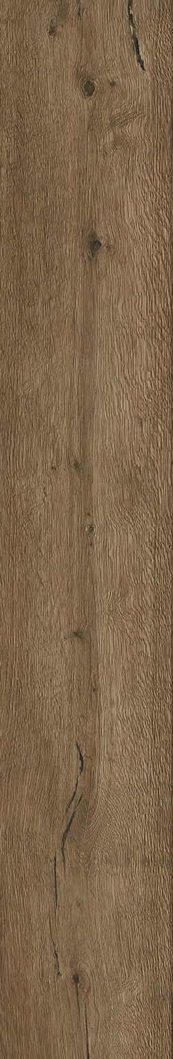 Black Forest image number null