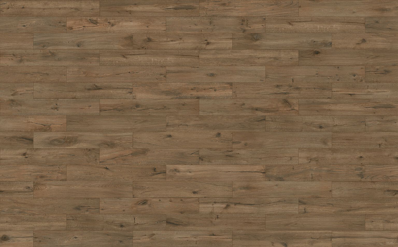 Black Forest image number null