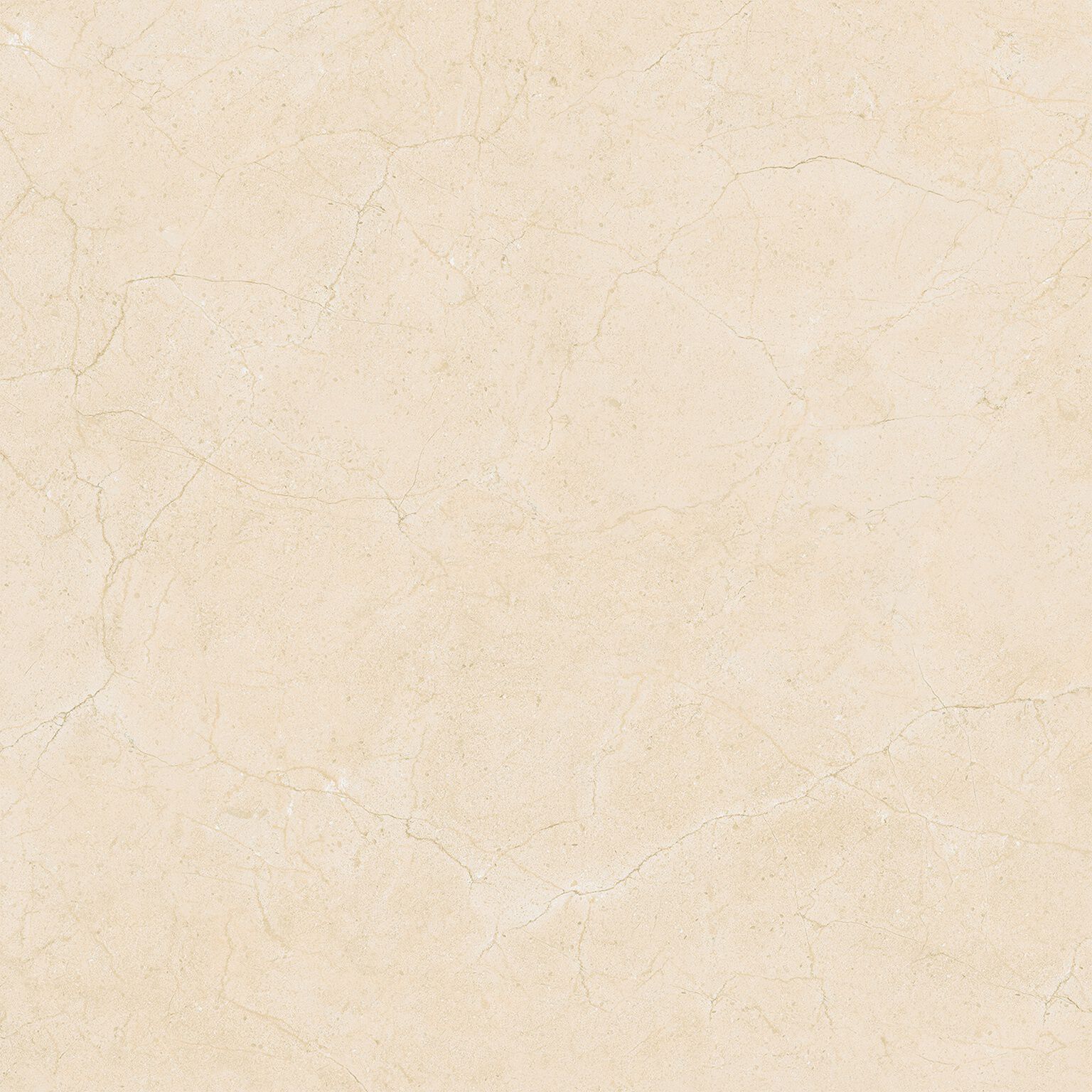 Bonaire image number null