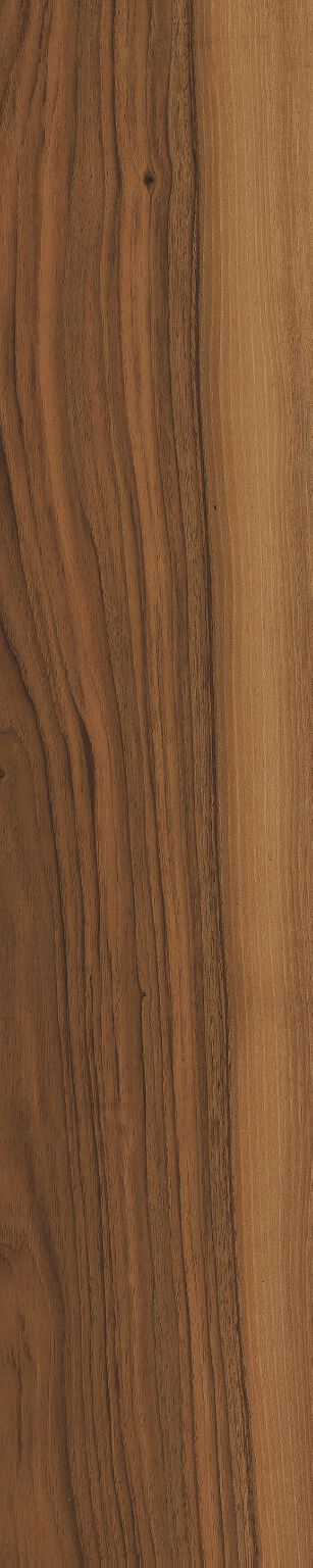 Wildwood image number null