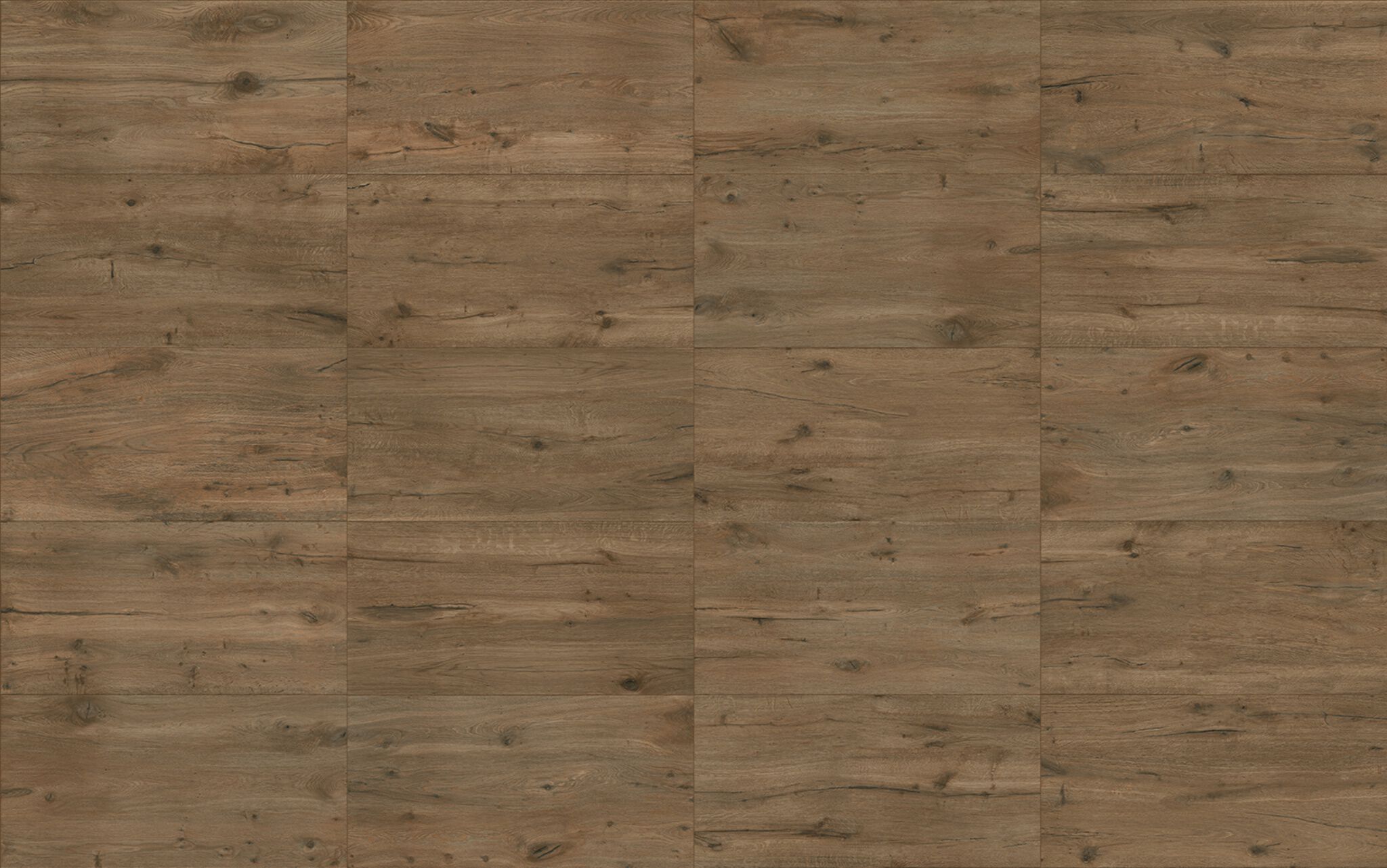 Black Forest image number null