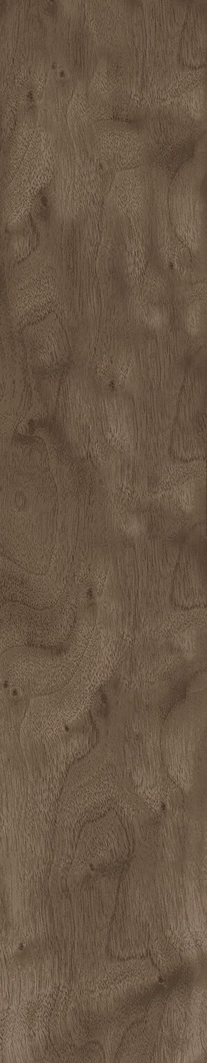 Ruidoso image number null