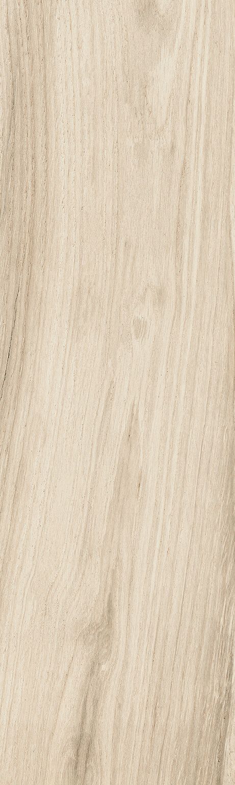 Somerset image number null