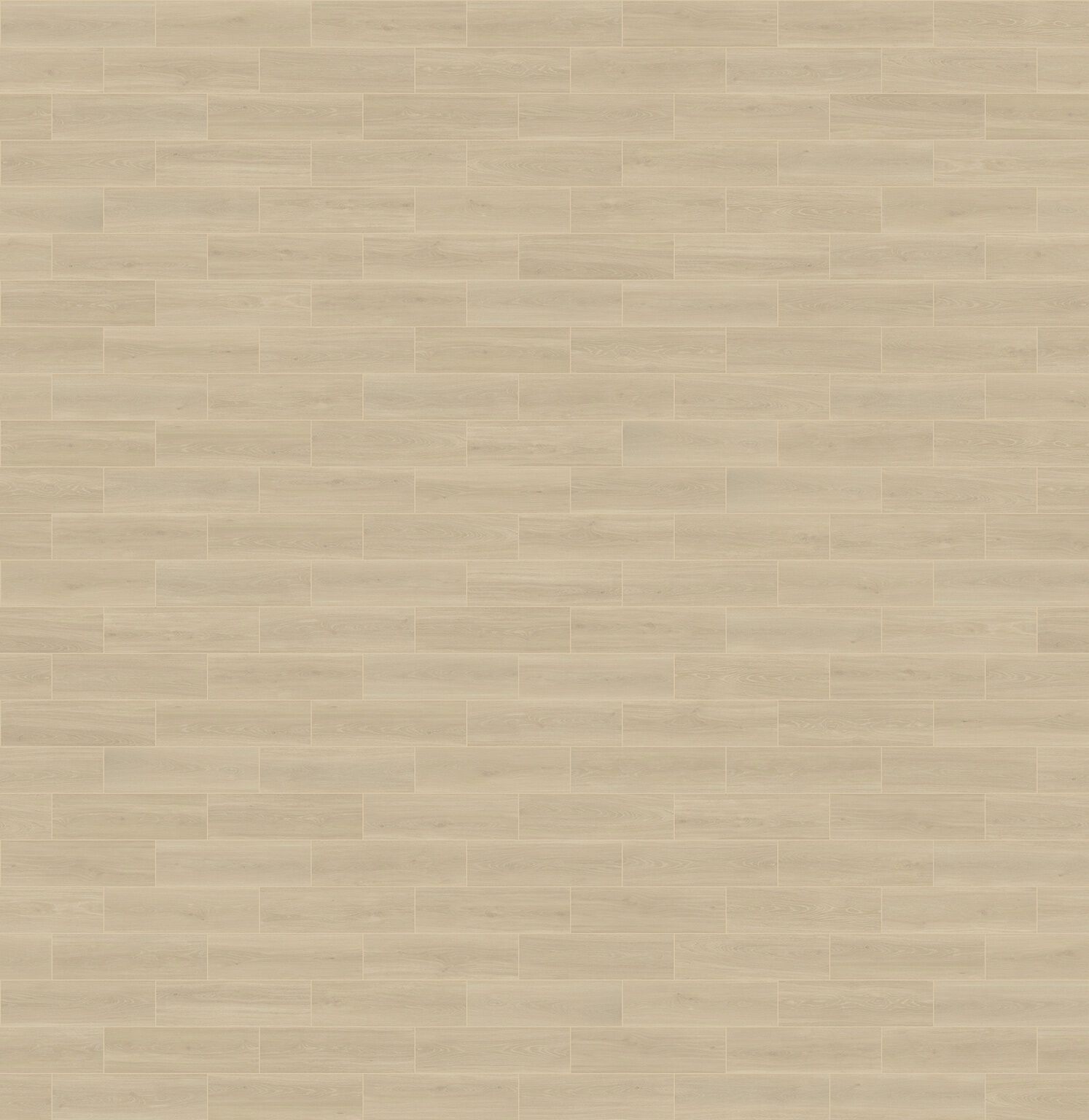 Amaretto image number null