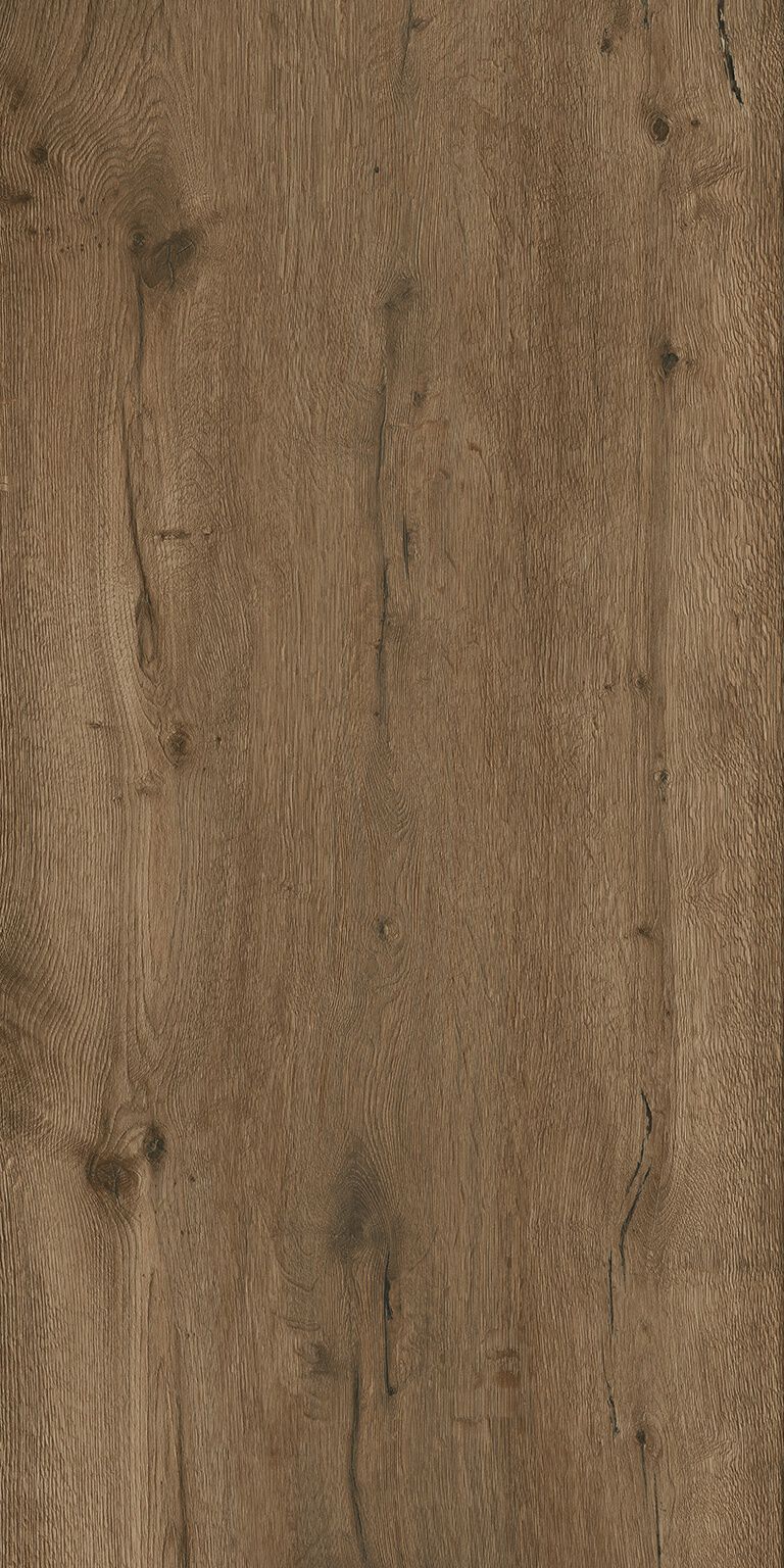 Black Forest image number null