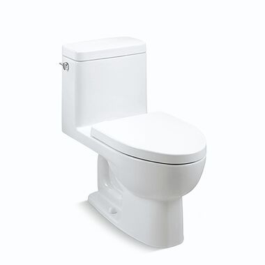 Sanitario una pieza descarga sencilla l&iacute;nea Reach