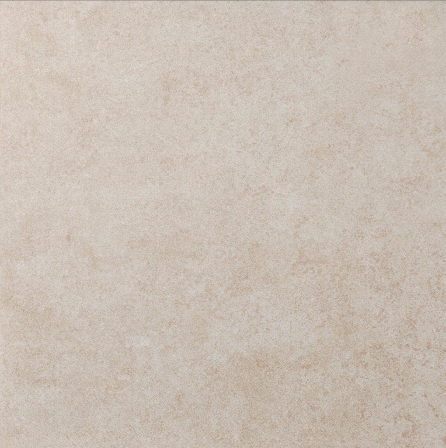 Palermo image number null