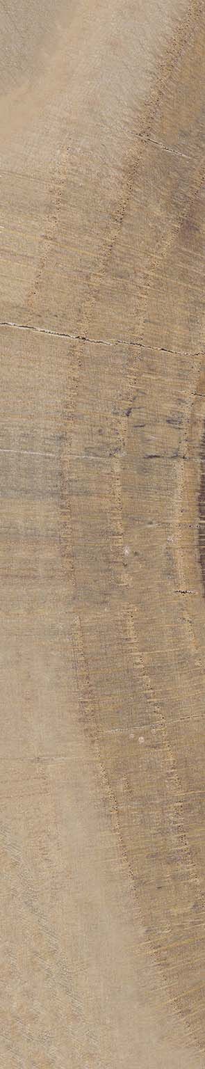 Norway image number null